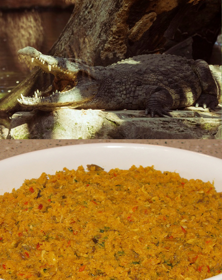 Comidas extrañas