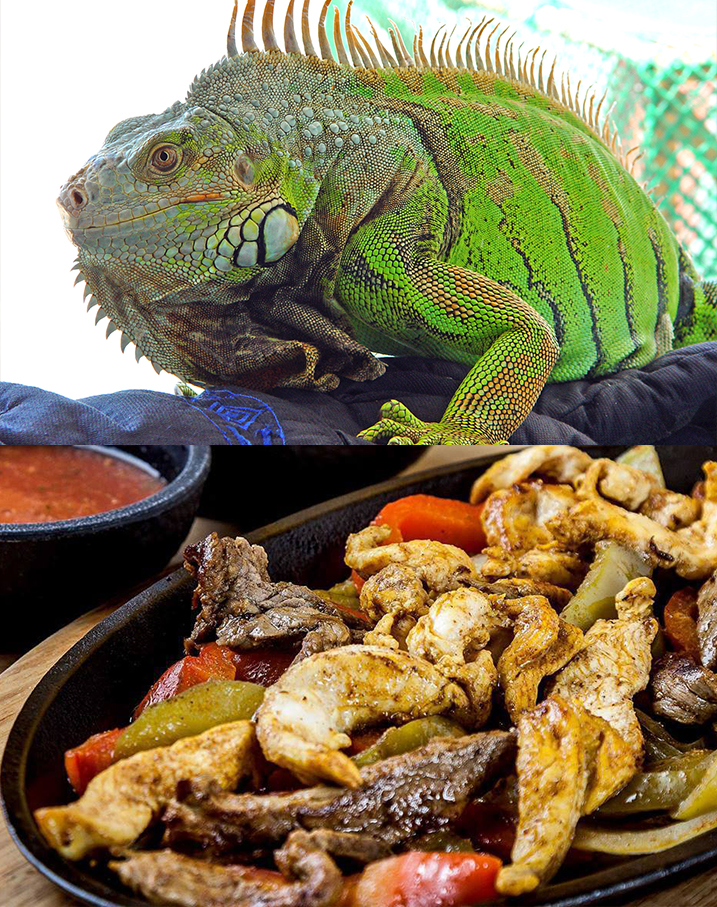 Comidas extrañas