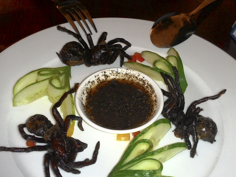 Araña mona