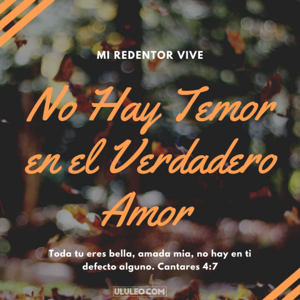Cantares 4:7