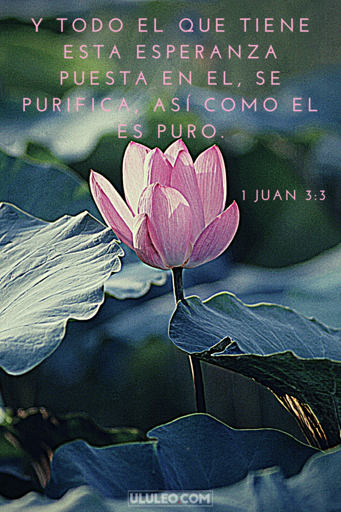 1 Juan 3:3