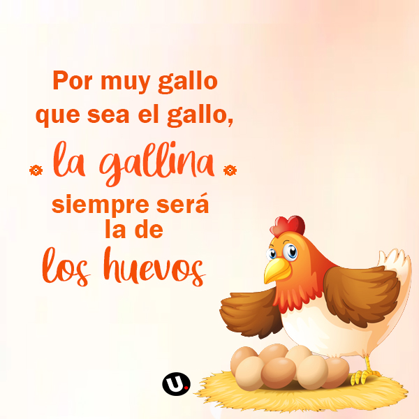 Las mejores frases sarcásticas