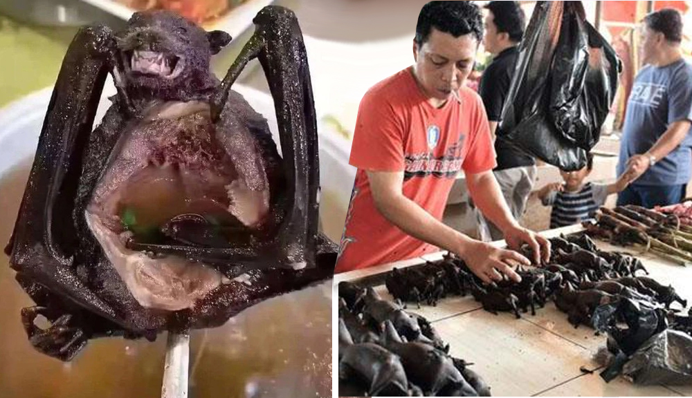En China siguen vendiendo murciélagos a pesar de la crisis que se vive con la pandemia.