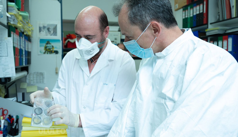 equipo de cientifico de España