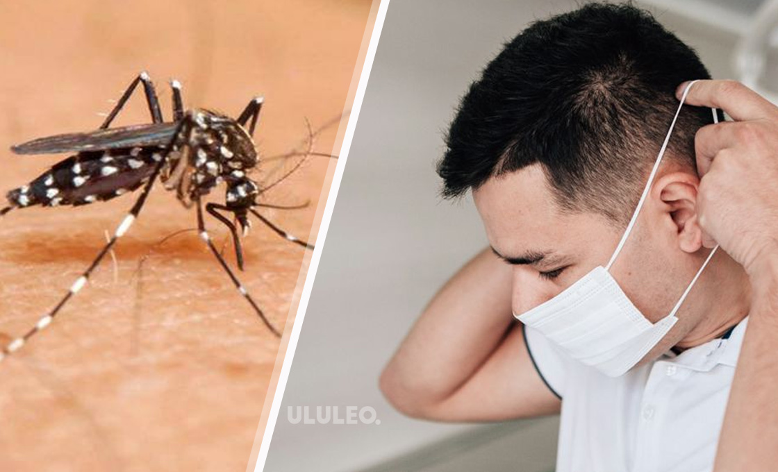 "CORONADENGUE": La nueva enfermedad registrada en 13 personas internadas en un sanatorio