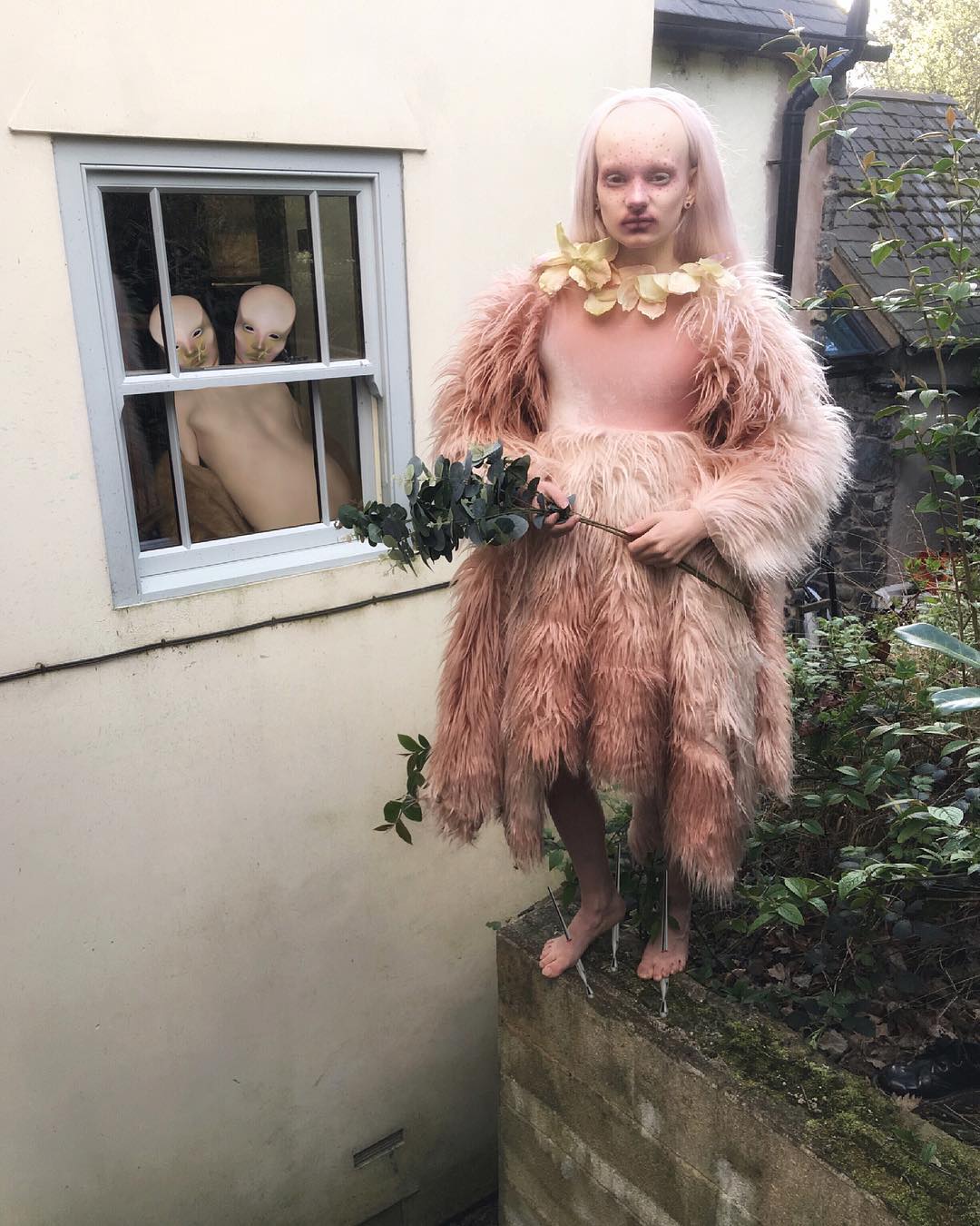 Las 25 mejores fotos de Salvjiia