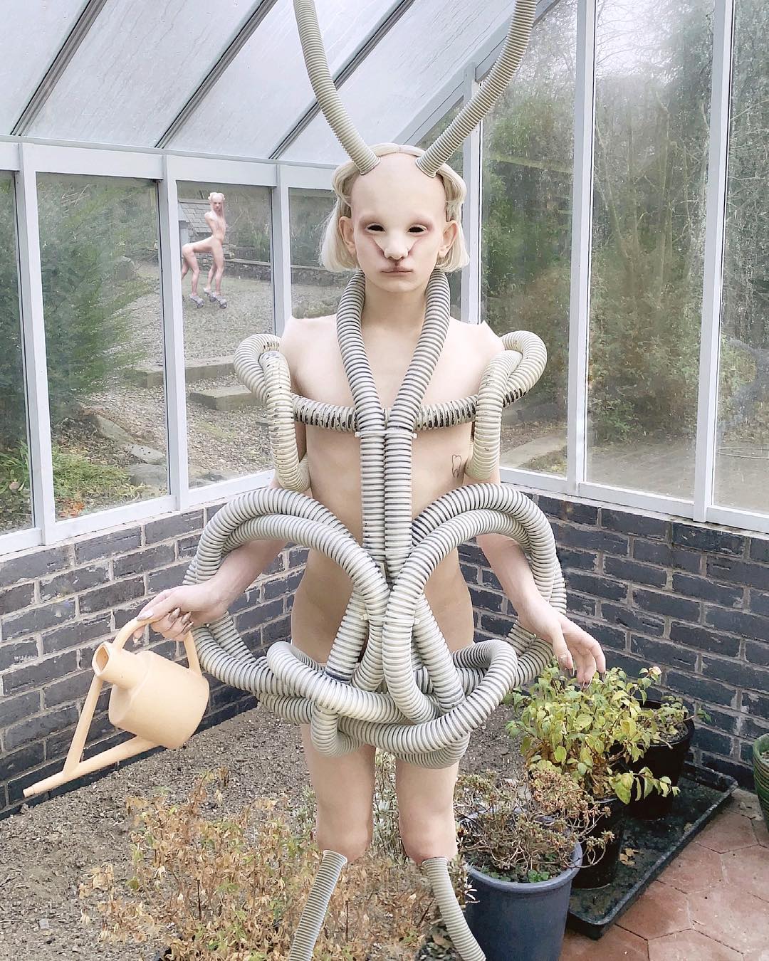 Las 25 fotos más impactantes de salvjiia