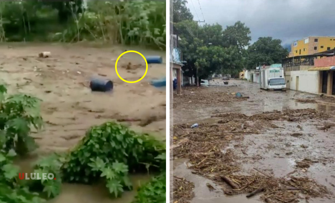 Rescatado señor que fue arrastrado por el río El Limón en Maracay